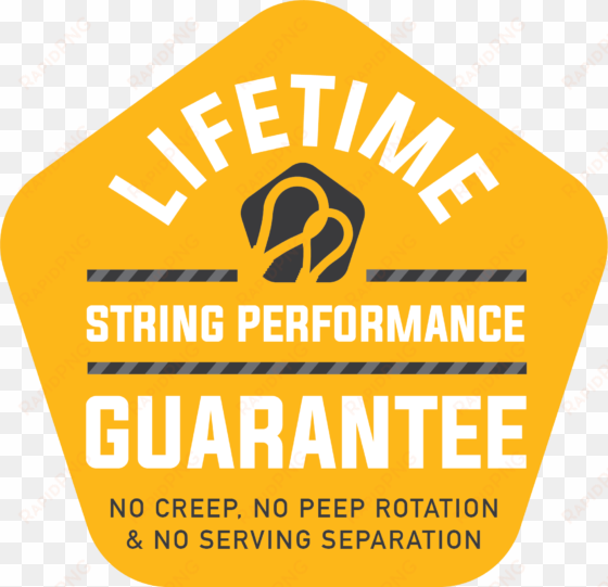 winners choice lifetime string performance guarantee - string