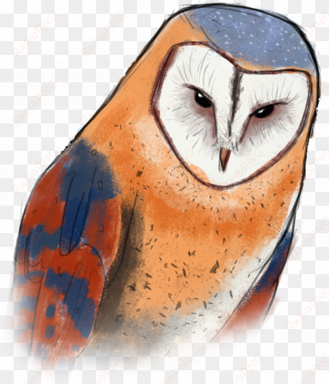 [wip] low-poly island - barn owl