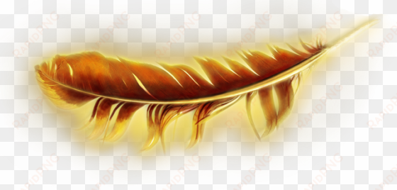 wish upon a feather - transparent golden feather png