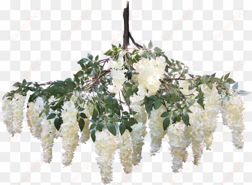 wisteria white hanging branch 150cm - wisteria