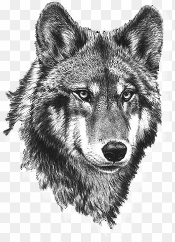 wolf clipart picture black and white wolf clipart wolf - tete de loup tatouage