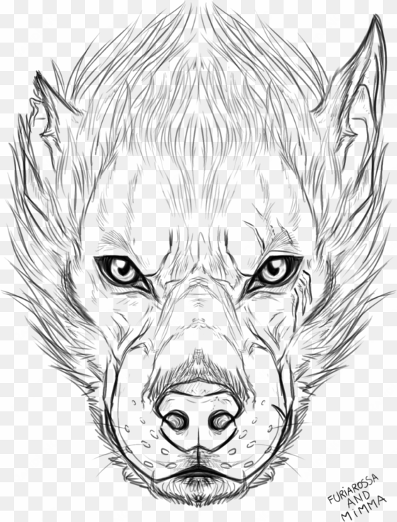 wolf faces - drawing