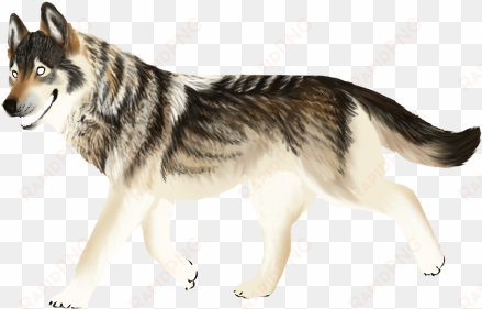 wolfdye - miniature siberian husky