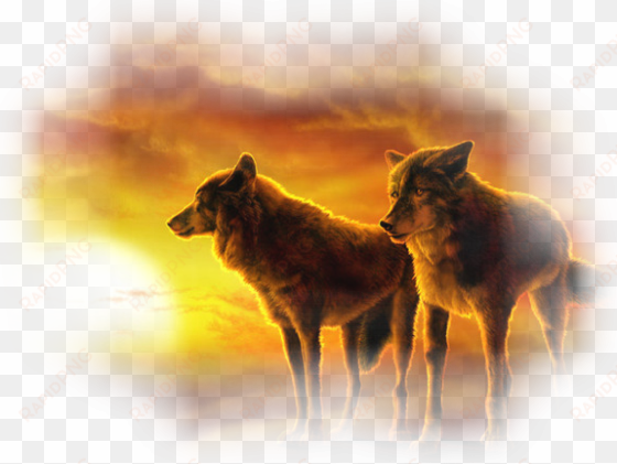 wolves at sunset - wolf pack looking at the sunset tibet silver chain