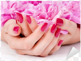 woman cupped hands with manicure holding a pink flower - classic manicure and pedicure