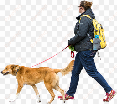 woman walking dog windy day people png, cut out people, - people walking dog png