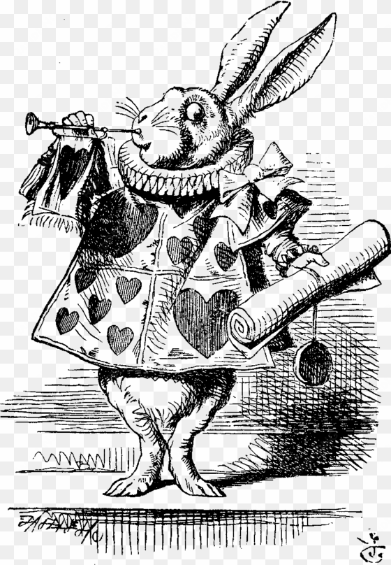 wonderland drawing - alice in wonderland book rabbit