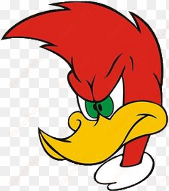 woody woodpecker angry - woody woodpecker angry png