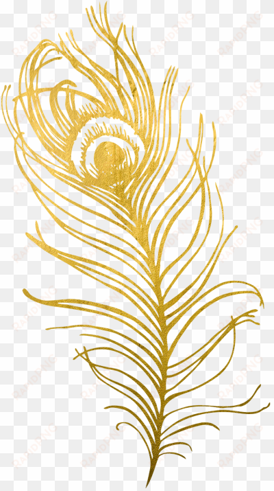 work with me, peacock, bird, feather, colorful, eye, - gold peacock feather png