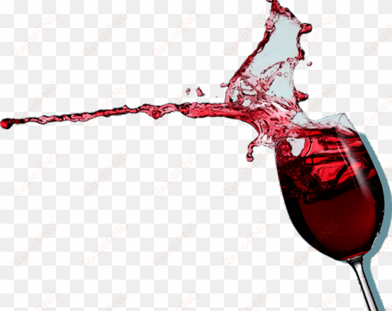 wwine glass png image - glass of wine pic transparent background