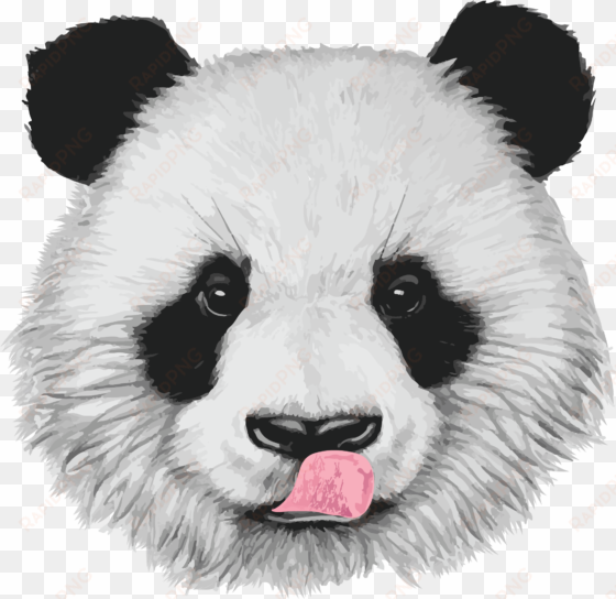 www - bamboolovers - com - realistic baby panda drawings