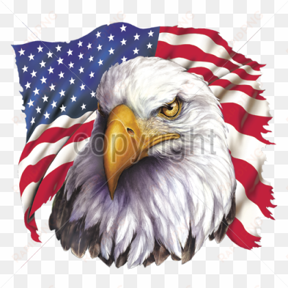 x with flag america plastisol transfer - american eagle flag png
