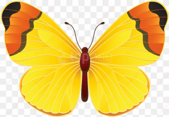 yellow butterfly png clip art transparent image - borboleta show da luna png