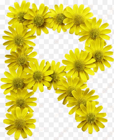 Yellow Flowers Font - Letters With Yellow Flower transparent png image