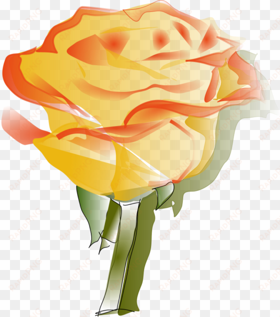 yellow rose clipart free images pictures - yellow rose transparent