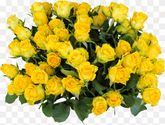 yellow rose flower free png transparent images free - birthday bouquet images download