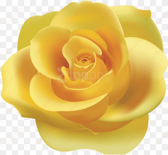 yellow rose png clip art - yellow rose clipart png