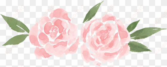 yellow roses png