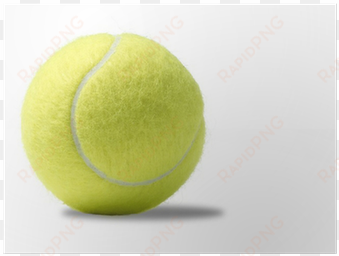 yellow tennis ball on a white background poster • pixers® - soft tennis