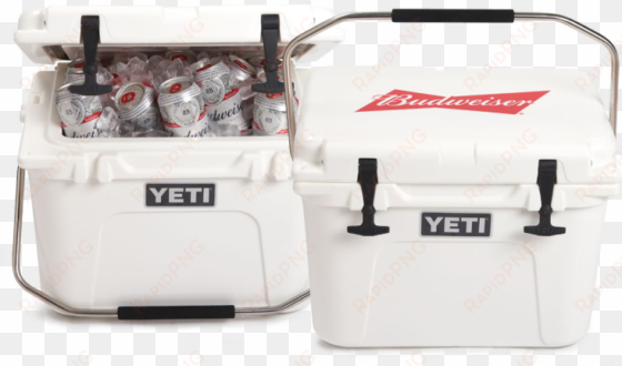 yeti roadie 20