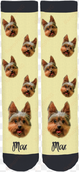 yorkie max crew socks - yorkshire terrier