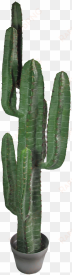 yuha cactus large - abigail ahernedition artificial large yuha cactus,