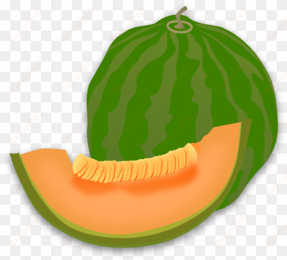 yummy melon clip art at clker com vector clip art online - melon cartoon png