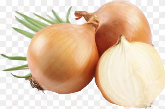 z natural foods onion powder - organic 5 lbs