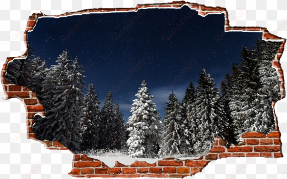 zapwalls decals evergreen snowy trees dark night breaking - irgendwo auf der welt: eine liebesgeschichte in vier