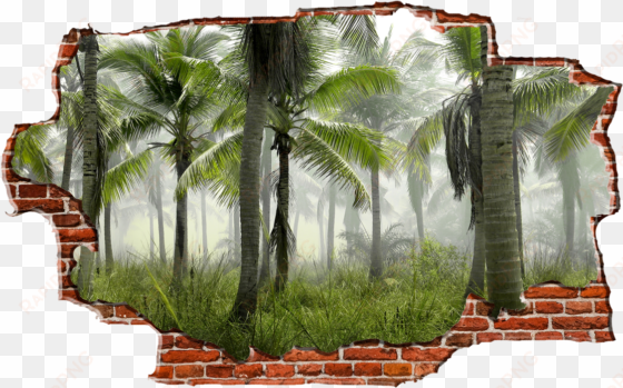 zapwalls decals jungle tree view breaking wall nature - palm trees forest