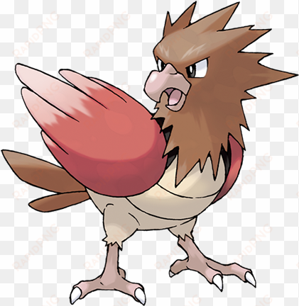 zondag 26 juli - pokemon spearow