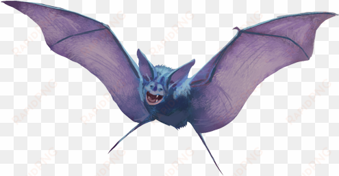 zubat realistico - pokemon realistic zubat